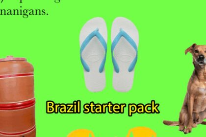 vocacao-brasileira-para-memes-ganha-exposicao-no-ccbb