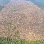 desmatamento-e-responsavel-por-mais-de-28-mil-mortes-anuais-por-calor