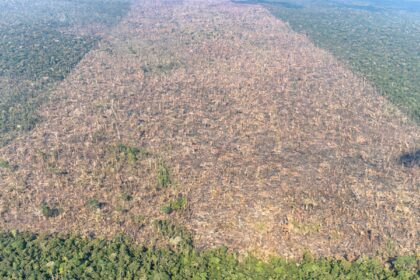 desmatamento-e-responsavel-por-mais-de-28-mil-mortes-anuais-por-calor
