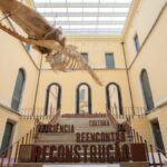 museu-nacional-realiza-no-domingo-setima-edicao-de-festival