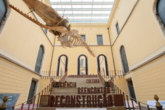 museu-nacional-realiza-no-domingo-setima-edicao-de-festival