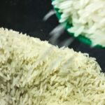 conab-anuncia-r$-300-milhoes-para-produtores-de-arroz-na-safra-2025/26