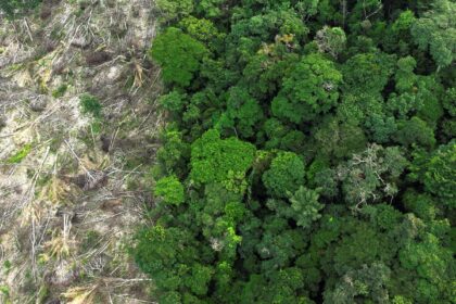 pesquisa-mede-impacto-de-mudancas-do-clima-e-desmatamento-na-amazonia