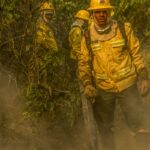 fotografo-da-agencia-brasil-e-destaque-em-premio-internacional