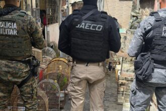 operacao-prende-na-bahia-um-dos-maiores-traficantes-de-animais-do-pais