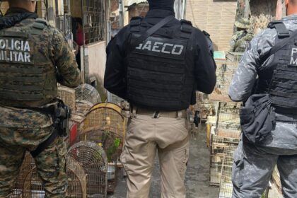 operacao-prende-na-bahia-um-dos-maiores-traficantes-de-animais-do-pais