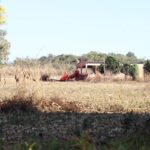 defesa-de-fazendeiros-em-goias-contesta-decisao-sobre-quilombolas