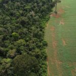 estados-e-df-devem-padronizar-autorizacao-de-supressao-de-vegetacao