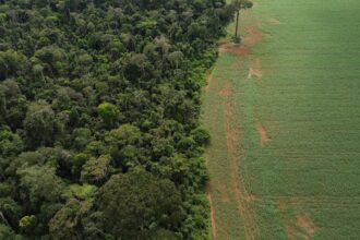 estados-e-df-devem-padronizar-autorizacao-de-supressao-de-vegetacao