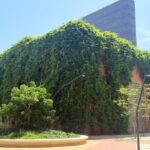 as-licoes-urbanas-da-espanha-que-podem-inspirar-a-adaptacao-climatica-das-cidades-brasileiras