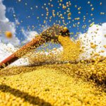 brasil-batera-novo-recorde-na-safra-de-graos