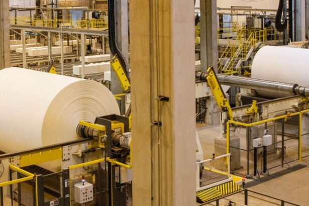 eua-retiram-taxa-das-exportacoes-nacionais-de-celulose-e-ferro-niquel