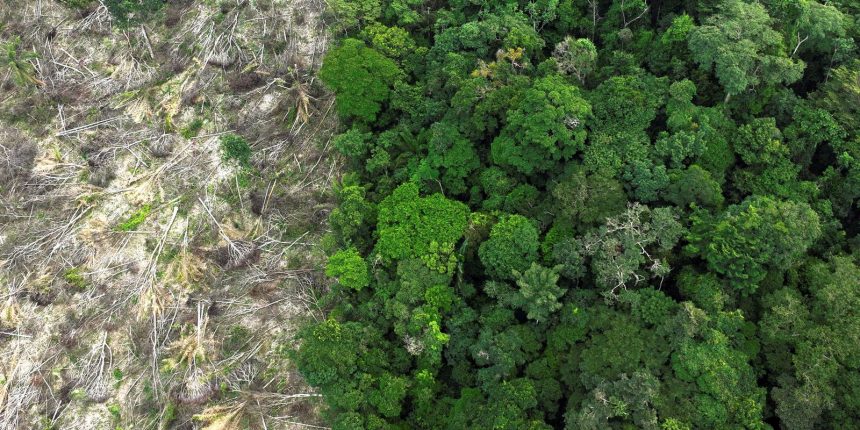 em-40-anos,-amazonia-perdeu-area-de-vegetacao-do-tamanho-da-franca