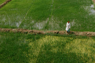 ia-esta-revolucionando-a-previsao-do-tempo-e-pode-mudar-a-vida-de-fazendeiros-ao-redor-do-mundo