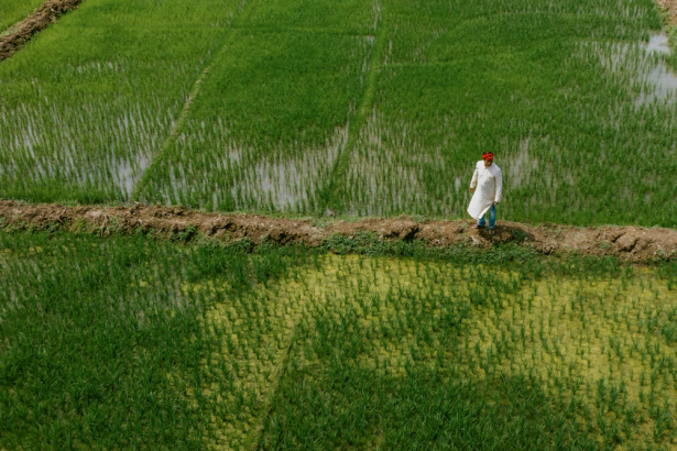ia-esta-revolucionando-a-previsao-do-tempo-e-pode-mudar-a-vida-de-fazendeiros-ao-redor-do-mundo