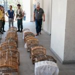 operacao-no-rj-resgata-700-animais-silvestres-e-prende-45-pessoas