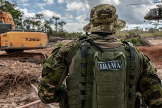 esvaziamento-do-ministerio-do-meio-ambiente-se-contrapoe-a-discurso-ambientalista-do-governo