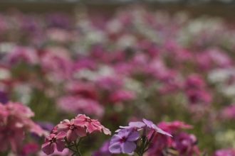 primavera-comeca-com-chegada-de-frente-fria,-temporais-e-fortes-ventos