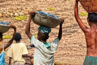 brasil-tem-reducao-recorde-na-lista-piores-formas-de-trabalho-infantil