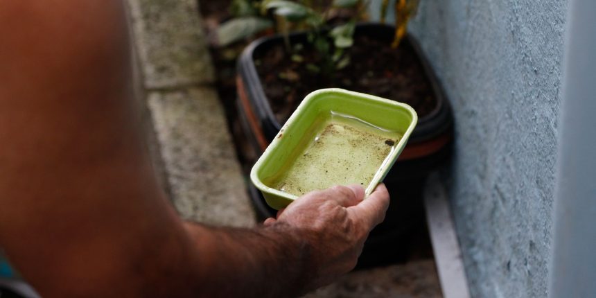 chikungunya-traz-preocupacoes-apos-uma-decada-de-presenca-no-brasil