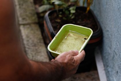chikungunya-traz-preocupacoes-apos-uma-decada-de-presenca-no-brasil