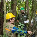 itaipu-triplica-diversidade-florestal-nos-arredores-do-reservatorio