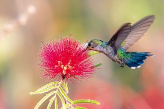 primavera-comeca-com-ondas-de-calor-e-baixa-umidade-no-pais