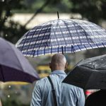 sp:-chuva,-ventos-fortes-e-queda-de-arvores-deixam-900-mil-sem-energia