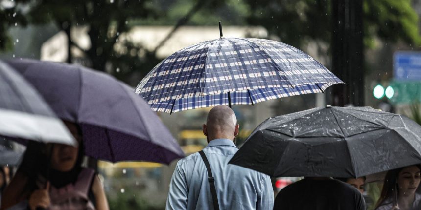 sp:-chuva,-ventos-fortes-e-queda-de-arvores-deixam-900-mil-sem-energia
