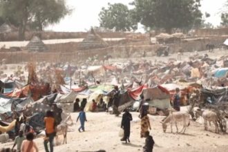 o-sudao-sangra-em-silencio:-uma-crise-humanitaria-que-o-mundo-nao-pode-ignorar