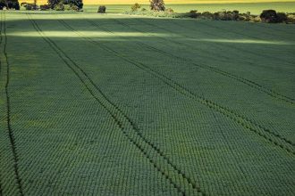prazo-para-entregar-declaracao-do-itr-2025-termina-nesta-terca-feira