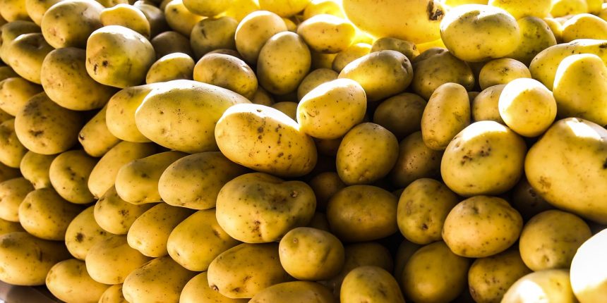 batata,-ovos-e-verduras-reduzem-pressao-inflacionaria-em-agosto-em-sp