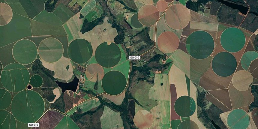 cerrado-brasileiro-perdeu-28%-da-vegetacao-nativa-em-40-anos