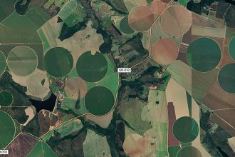 cerrado-brasileiro-perdeu-28%-da-vegetacao-nativa-em-40-anos