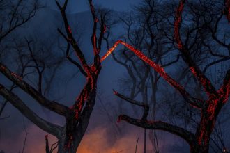 protecao-ambiental-passa-por-retrocesso-historico-em-toda-a-america-latina