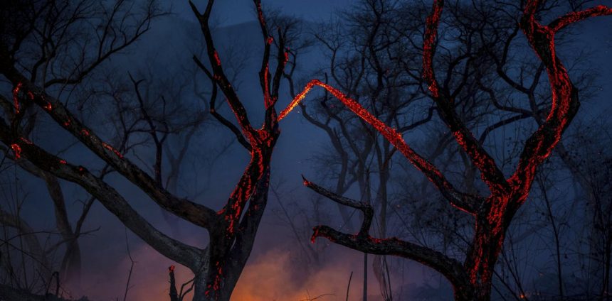 protecao-ambiental-passa-por-retrocesso-historico-em-toda-a-america-latina