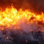 brigadistas-combatem-incendio-em-cavalcante,-goias