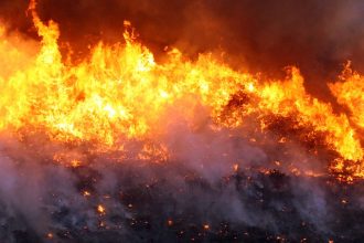 brigadistas-combatem-incendio-em-cavalcante,-goias