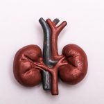 exame-de-urina-pode-ajudar-a-prever-risco-de-demencia