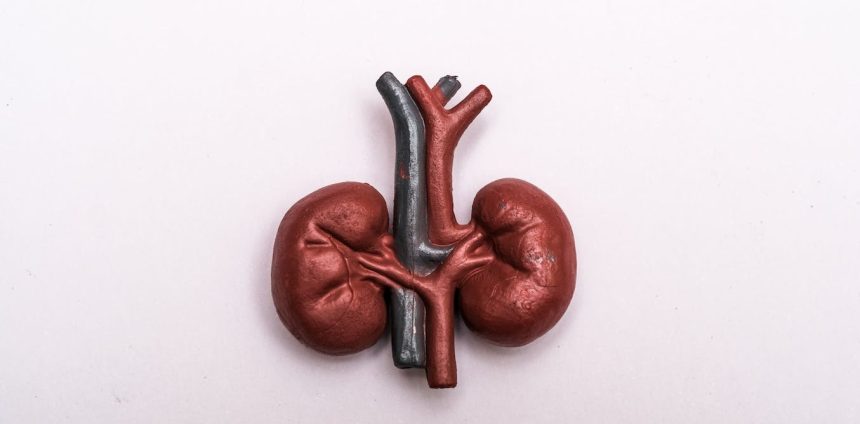 exame-de-urina-pode-ajudar-a-prever-risco-de-demencia