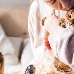 o-que-ter-um-gato-faz-com-o-seu-cerebro-–-e-com-o-dele