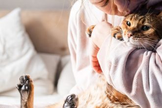 o-que-ter-um-gato-faz-com-o-seu-cerebro-–-e-com-o-dele