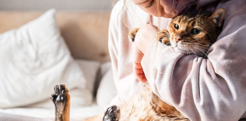 o-que-ter-um-gato-faz-com-o-seu-cerebro-–-e-com-o-dele