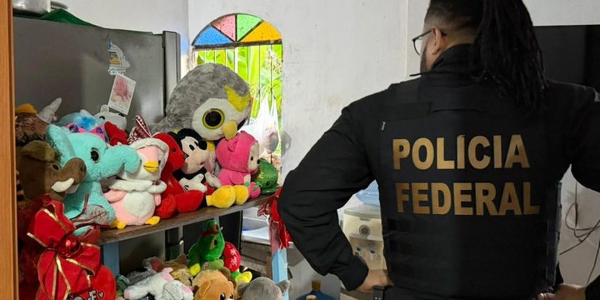 pf-deflagra-acao-em-todo-o-pais-contra-abuso-sexual-de-criancas