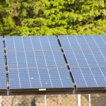 terceiro-leilao-do-eco-invest-brasil-tera-protecao-a-capital-externo