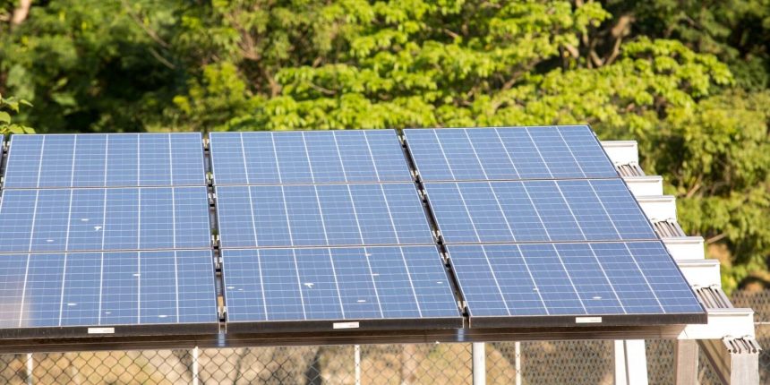 terceiro-leilao-do-eco-invest-brasil-tera-protecao-a-capital-externo