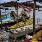 inicio-do-defeso-da-piracema-restringe-pesca-comercial-no-pais