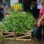 mercado-do-povo-levara-mercados-modulares-a-pequenas-cidades
