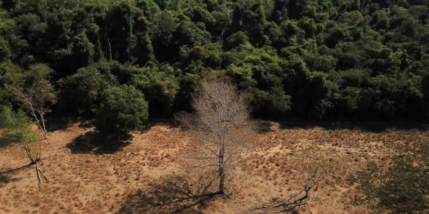 brasil-pode-suprir-demanda-por-bioenergia-sem-desmatar,-aponta-estudo