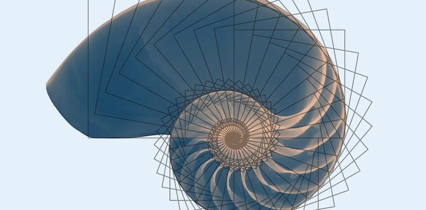 o-“numero-de-deus”-ou-o-corpo-como-mapa-do-universo